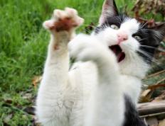 开云体育登录-血战盐湖城！爱德华兹致命一击复刻乔丹经典