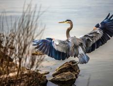 开云体育下载-独行侠强势击溃雄鹿，布克冠军级表现引领胜利