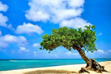 开云APP-囚笼与鹰翼，总决赛G3的窒息式防守博弈