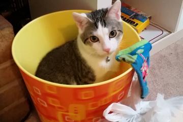 开云官网-一人刺穿银河！格纳布里欧冠封神夜，拜仁的利刃与皇马的叹息