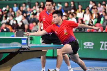 开云APP-波兰队险胜德国队，张本智和扛起全队的简单介绍