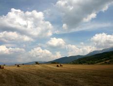 开云体育在线-东决关键战之夜，凯塞多进攻端无人可挡