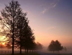 开云官网-欧冠淘汰赛之夜，维尼修斯，当之无愧的硬仗之王