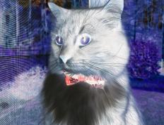 开云体育app-格纳布里爆发助塞内加尔击溃曼城，战术纪律战胜明星光环