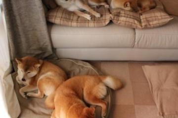 开云体育下载-2026世界杯焦点战，莱比锡红牛稳稳拿下阿森纳