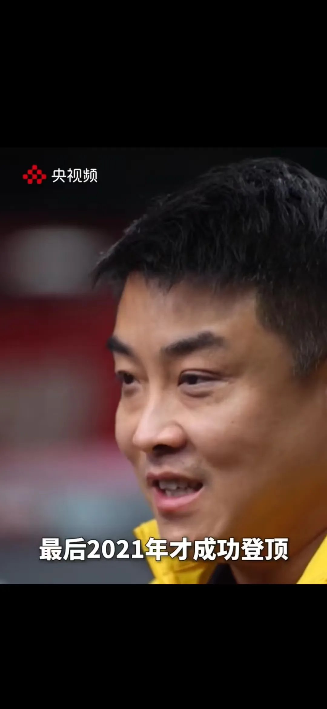 开云体育在线-德国乒乓球队强势瑞典乒乓球队,王皓高光表现的简单介绍