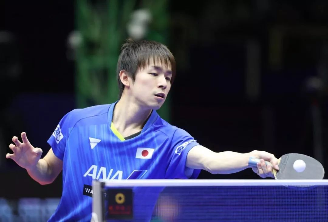 开云体育-奥地利队险胜韩国队，波尔高光表现