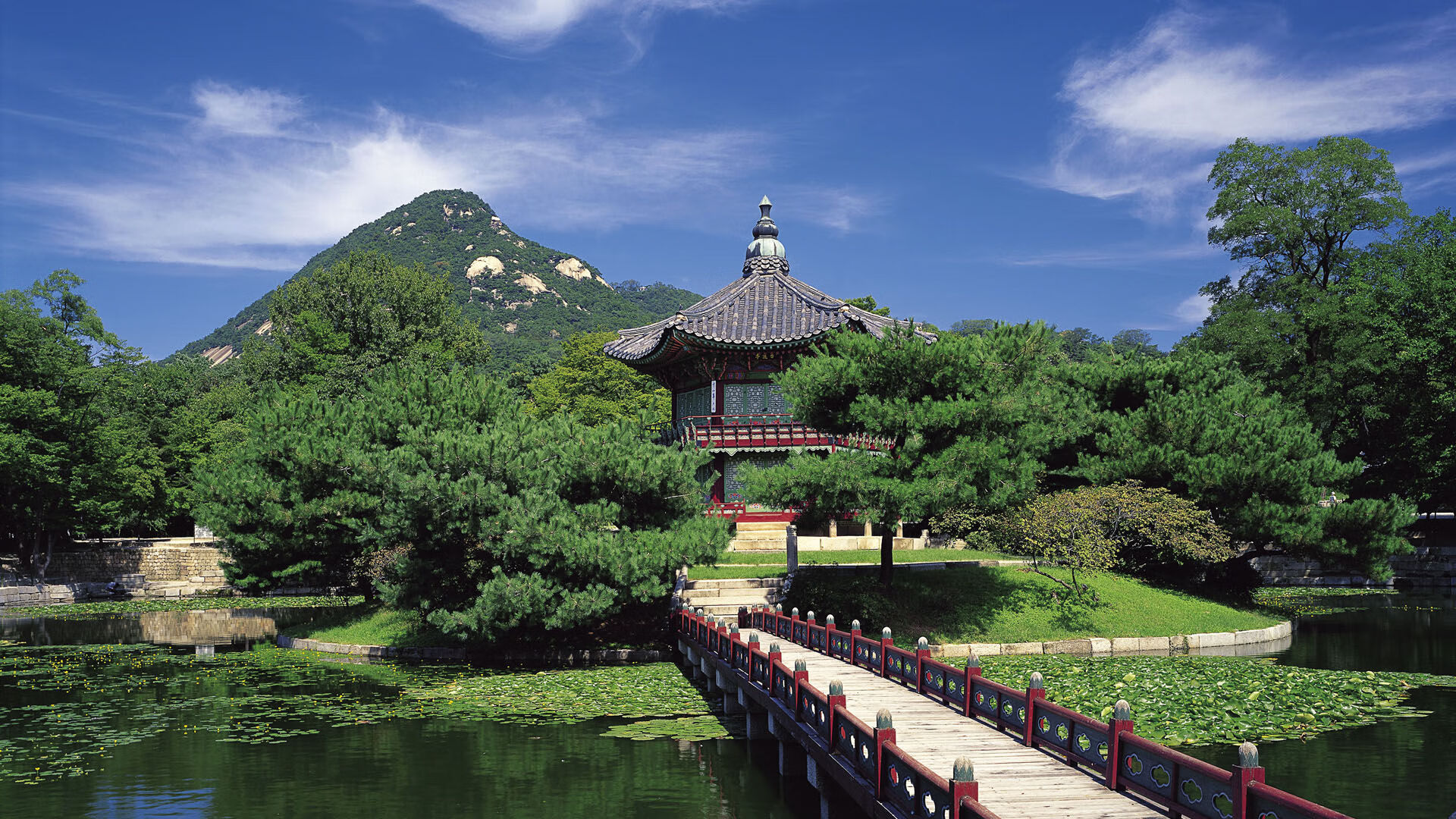 开云体育中国-赛道之王，范弗利特以F1式掌控力助国王关键战突围凯尔特人