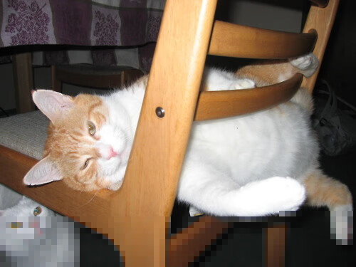 开云体育登录-深圳队踏平尼克斯，库里打出生涯之夜，篮球跨界对决的传奇篇章