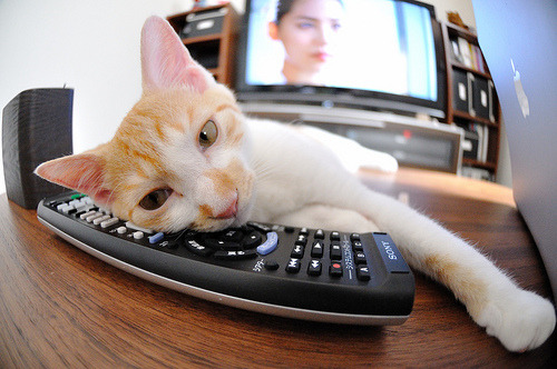 开云体育app-节奏之王,杰伦·格林如何用一己之力定义了深圳与掘金的攻防之魂