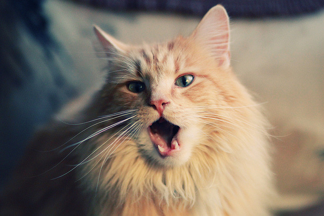 开云体育官网-东西方碰撞，字母哥惊天绝杀定乾坤，深圳队险胜篮网诠释篮球无疆界