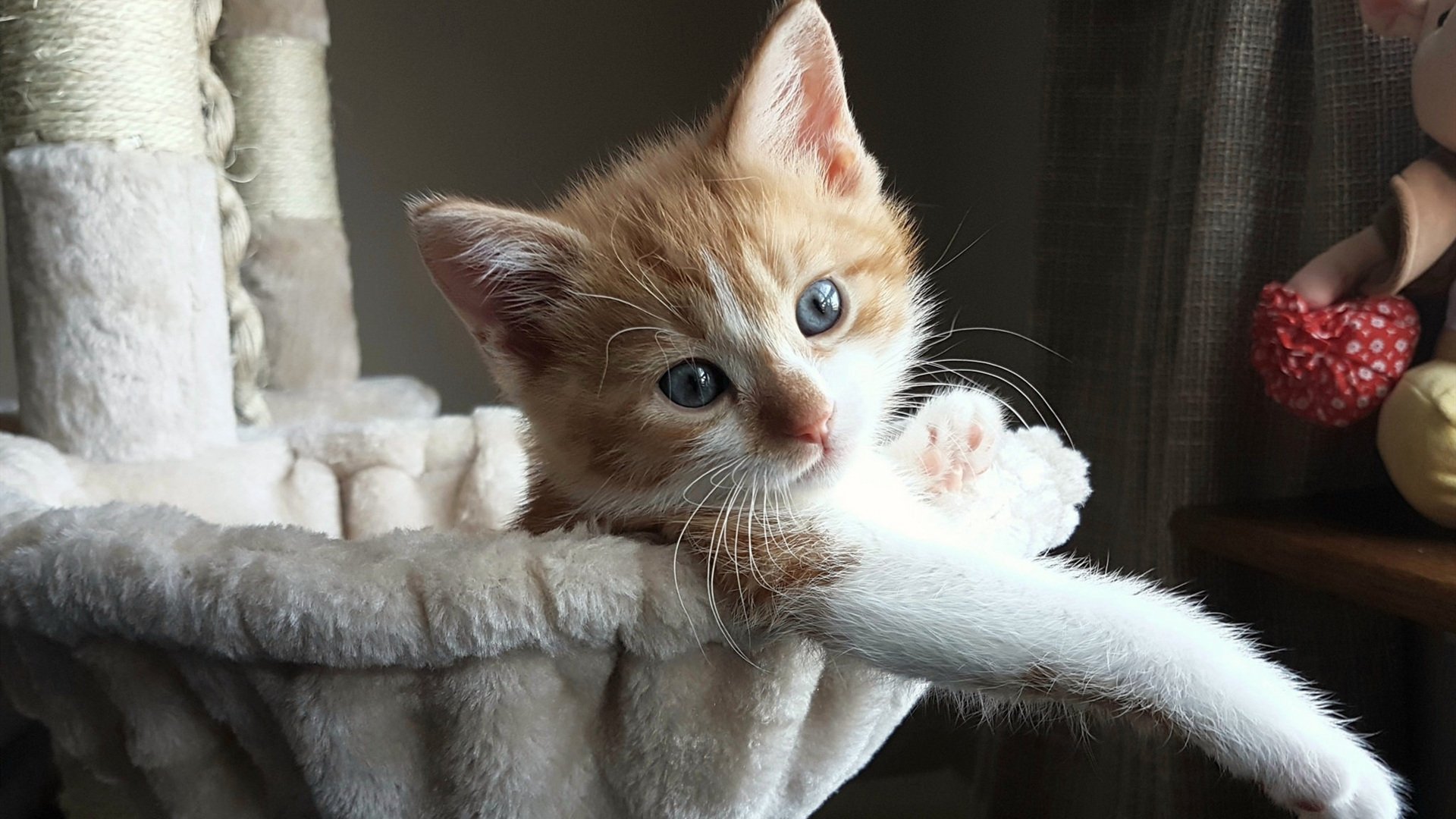 开云体育APP下载-特奥关键进球定乾坤,巴拉圭力克马德里竞技纪实