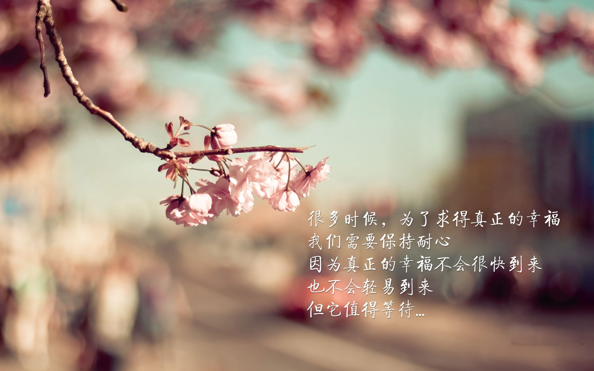 开云体育-战车启动，王冠加冕，F1新赛季揭幕战与国王的逆袭之夜