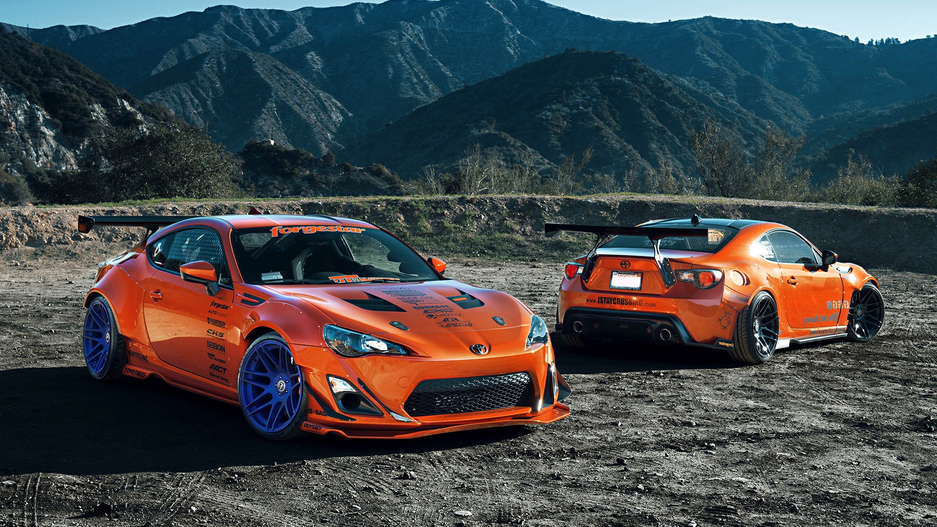 开云APP-马克西的小人物剧本,当黄蜂在上海滩的聚光灯下肆虐