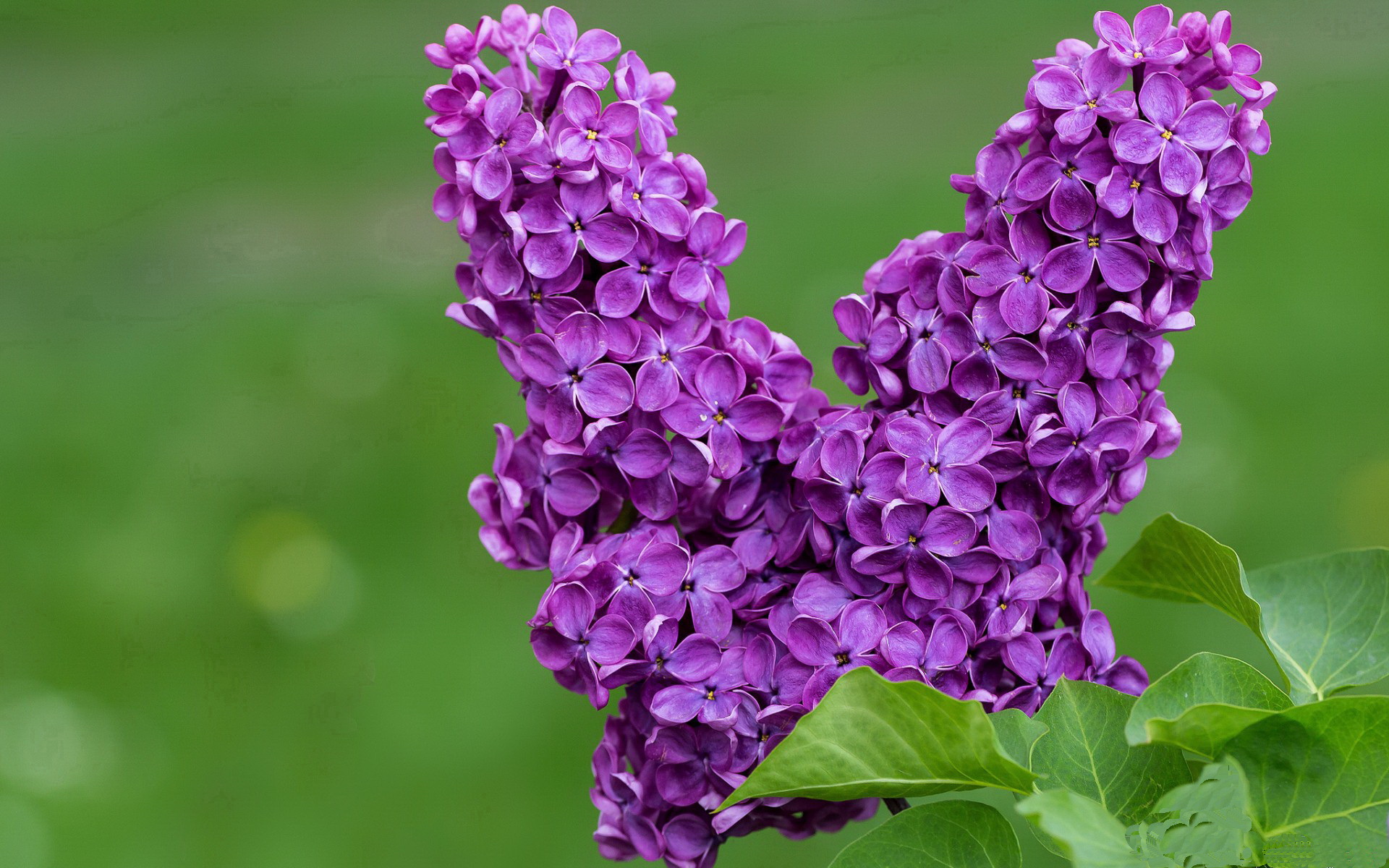 开云体育入口-努涅斯绝杀！挪威力克拉齐奥，欧联杯上演逆转奇迹